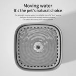 3L Cat Water Fountain Large Filter USB