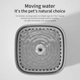 3L Cat Water Fountain Large Filter USB
