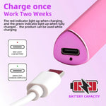 Mini UV LED Nail Dryer Lamp USB Gold