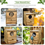 Owl Nesting Box Bird Feeder Paulownia Wood Acrylic