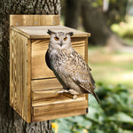 Owl Nesting Box Bird Feeder Paulownia Wood Acrylic