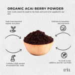 100g Acai Powder 100% Organic - Pure Superfood Amazon Berries